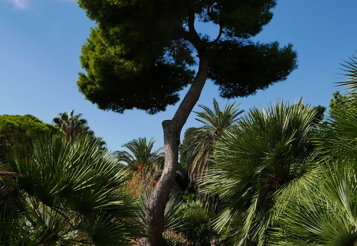 15-09-23-cagliari-orto botanico-216