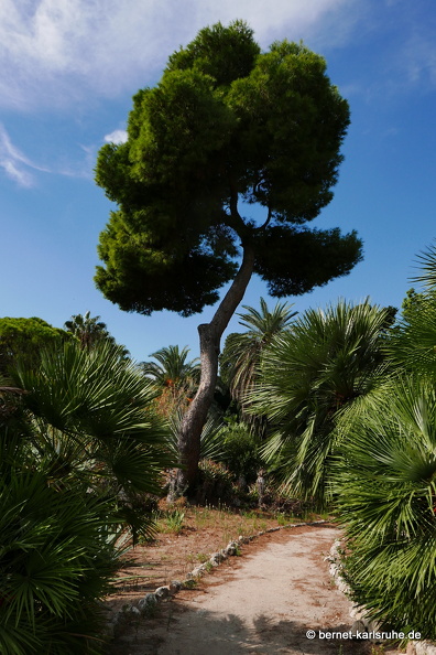 15-09-23-cagliari-orto botanico-216.JPG