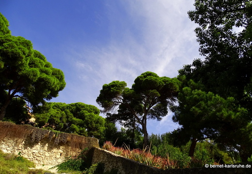 15-09-23-cagliari-orto botanico-225