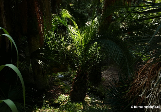 15-09-23-cagliari-orto botanico-230