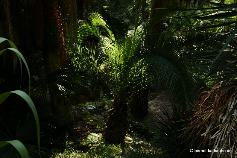15-09-23-cagliari-orto botanico-230.JPG