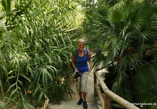 15-09-23-cagliari-orto botanico-231