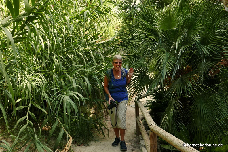 15-09-23-cagliari-orto botanico-231.JPG