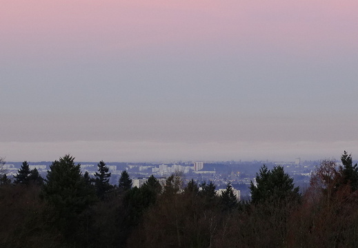 15-01-06-sonnenaufgang-nebel-002