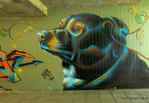 15-06-11-alb-graffiti-066