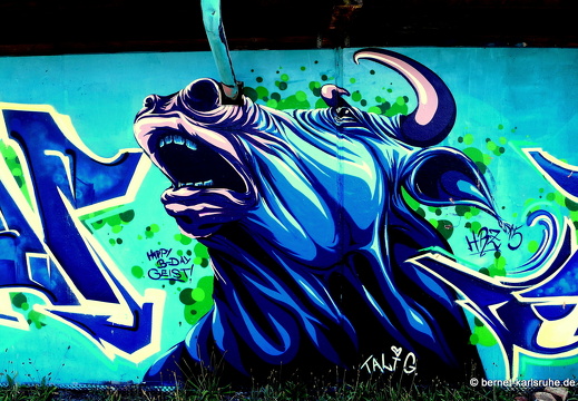 15-07-10-durlach-aue-graffiti-005