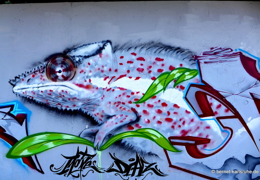 15-07-10-durlach-aue-graffiti-007