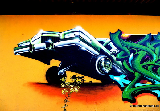 15-07-10-durlach-aue-graffiti-015