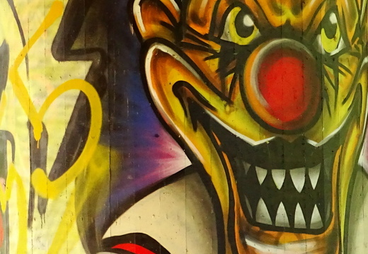 15-08-31-alb-graffiti-003