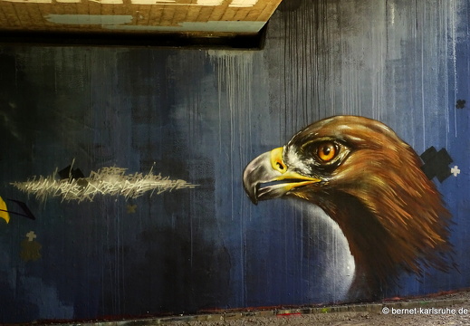 15-08-31-alb-graffiti-006