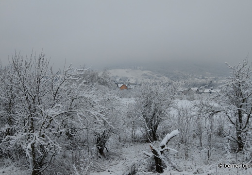 21-02-09-schnee-050