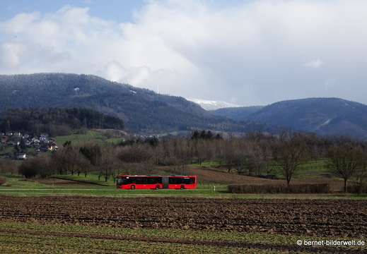 21-03-18-salzwaesserle-schnee-berge-hornisgrinde-