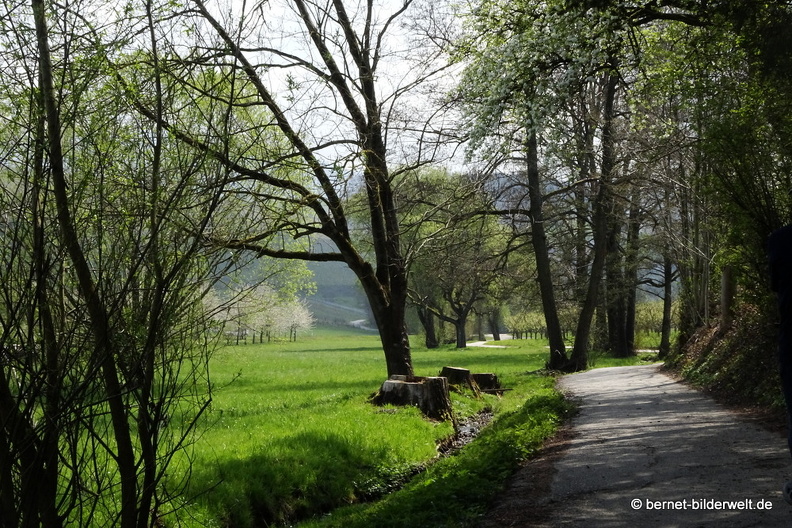 21-04-20-rittersbach-.JPG