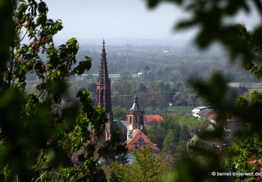 21-04-24-schillenbuehnweg-004