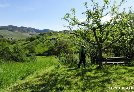 21-05-08-schillenbuehnweg-001