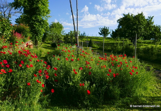 21-06-02-sankt edwins heimatgarten-014
