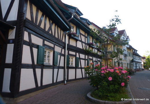 21-06-15-muehlenstrasse-fachwerkhaus-rosen-
