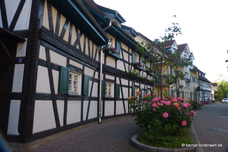 21-06-15-muehlenstrasse-fachwerkhaus-rosen-.JPG