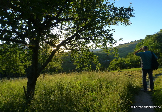 21-06-15-schillenbuehnweg-004