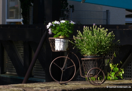 21-06-16-kaffeetasse-001