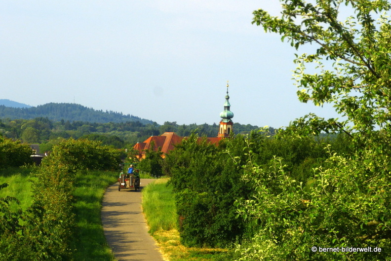 21-06-18-weinberge-004.JPG