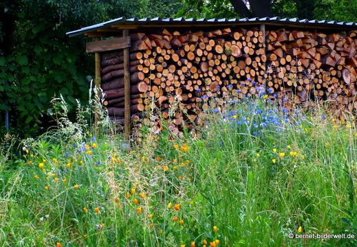 21-06-20-burgweg-001