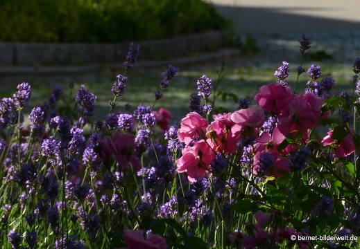 21-06-21-muehlenstrasse-