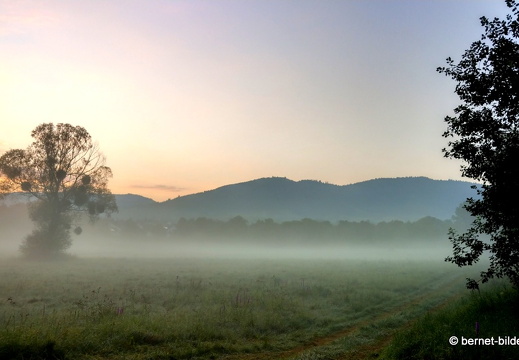 21-08-15-salzwaesserle-nebelstimmung-001