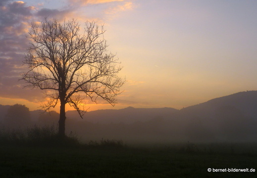 21-08-15-salzwaesserle-nebelstimmung-003