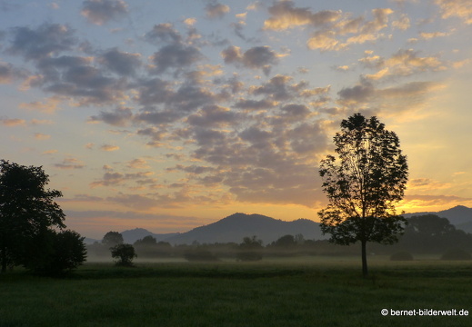 21-08-15-salzwaesserle-nebelstimmung-004