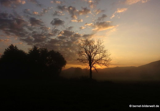 21-08-15-salzwaesserle-nebelstimmung-005