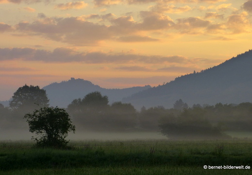 21-08-15-salzwaesserle-nebelstimmung-006