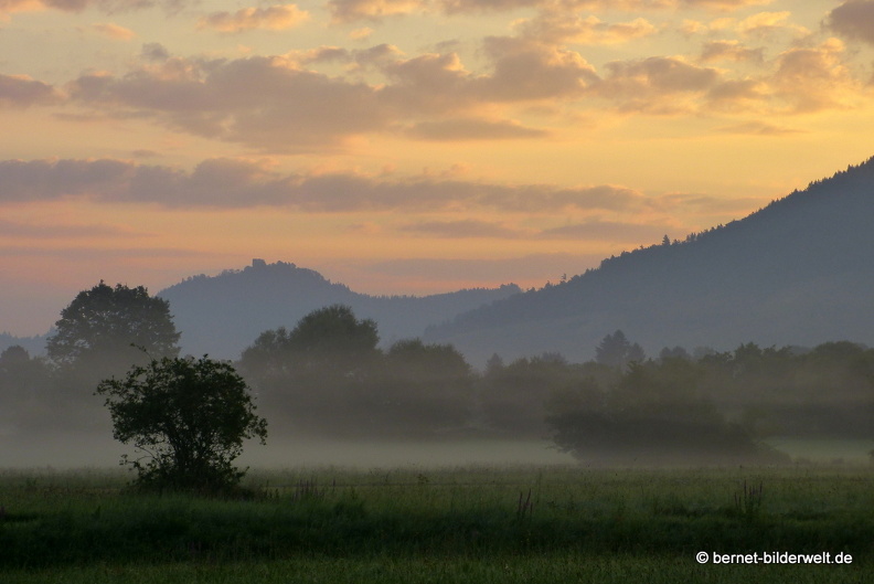 21-08-15-salzwaesserle-nebelstimmung-006.jpg