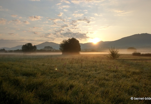 21-08-15-salzwaesserle-nebelstimmung-008
