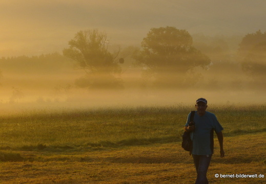 21-08-15-salzwaesserle-nebelstimmung-013