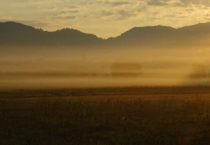 21-08-15-salzwaesserle-nebelstimmung-017