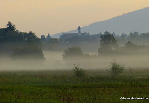 21-08-15-salzwaesserle-nebelstimmung-016