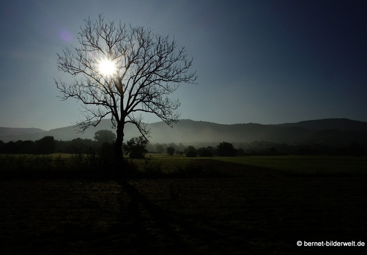 21-09-03-salzwaesserle-morgenstimmung-007