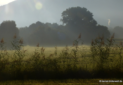 21-09-08-salzwaesserle-003
