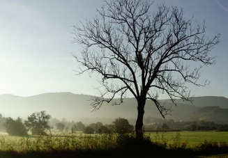 21-09-08-salzwaesserle-016