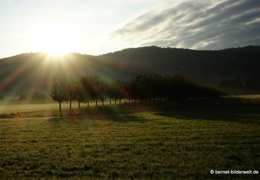 21-09-17-salzwaesserle-nebelstimmung-058
