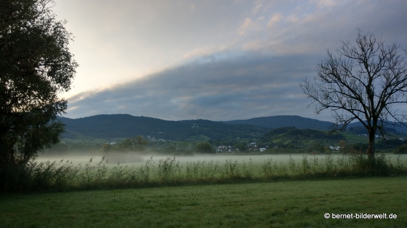 21-09-17-salzwaesserle-nebelstimmung-004.jpg