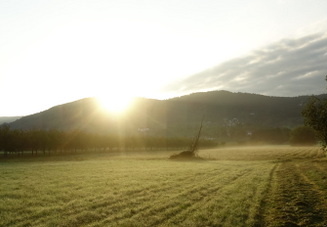 21-09-17-salzwaesserle-nebelstimmung-020