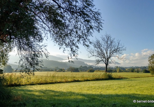 21-10-08-alte b3-nach sonnenaufgang-nebel-001