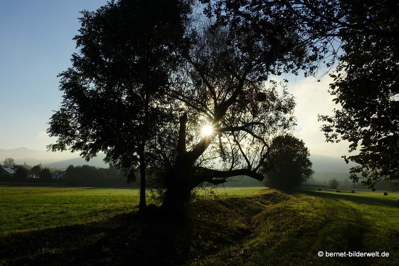 21-10-09-alte b3-fruehnebel-101.jpg