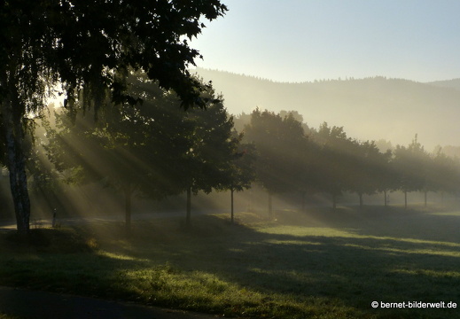 21-10-10-alte b3-fruehnebel-003