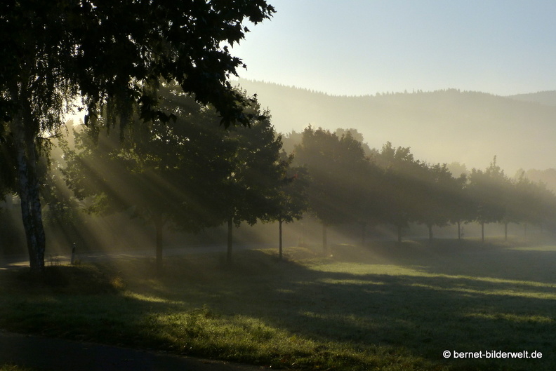 21-10-10-alte b3-fruehnebel-003.jpg