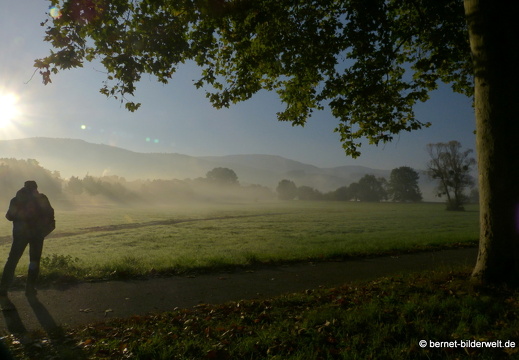 21-10-10-alte b3-fruehnebel-009
