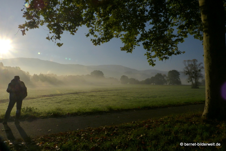 21-10-10-alte b3-fruehnebel-009.jpg