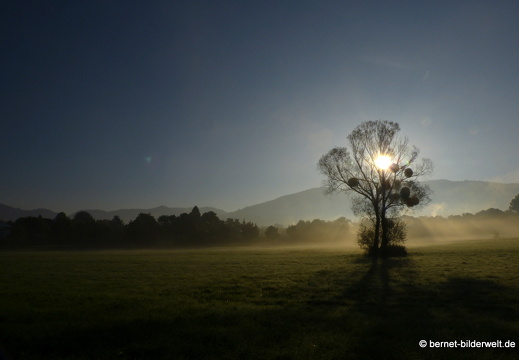 21-10-10-alte b3-fruehnebel-013